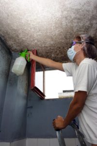 Sunrise Mold Removal