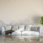At Home Water Damage Assessment