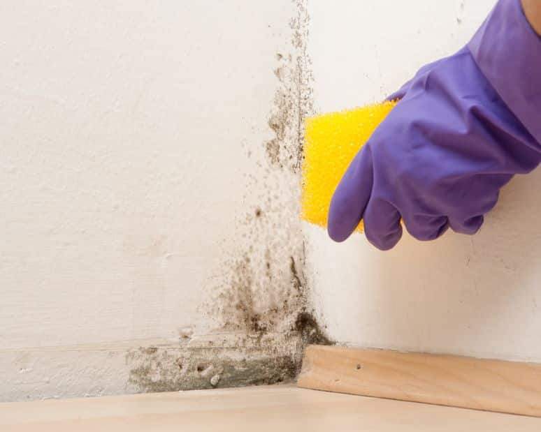 Cleaning mold
