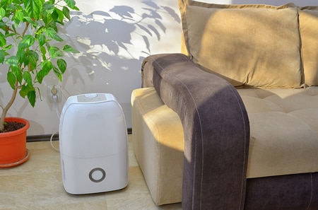 dehumidifier-for-your-home.jpg