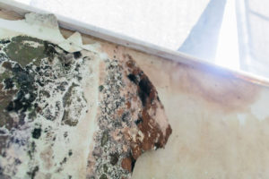 Aventura Mold Remediation