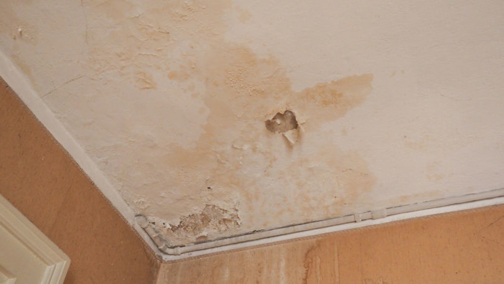 The Different Types of Water Damage